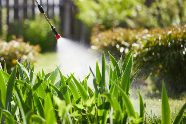 24/7 Emergency Wasp Removal experts in Fraser, MI