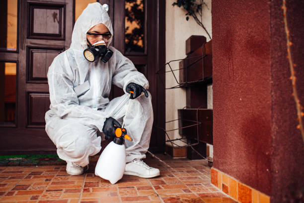 Reliable Wasp Removal contractor in Fraser, MI by Show Me Pest Control